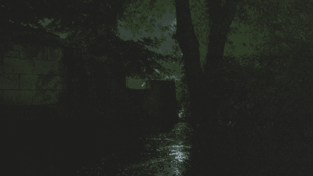 Heavy rain falling on dark forest path at night