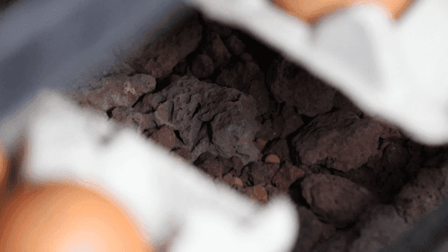 계란이 담긴 계란판과 돌 배경