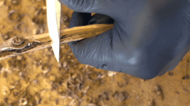 나무 막대를 조각하는 사람