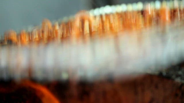 그릴 위에서 구워지는 쭈꾸미구이