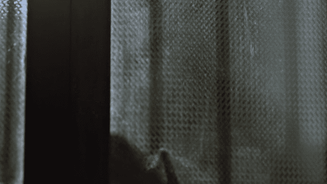 불투명 유리문을 통해 손이 닿는 모습