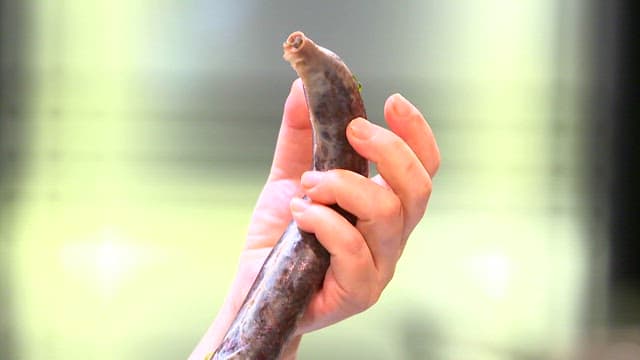 손에 들린 순대