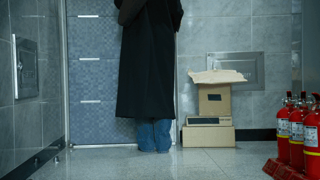 Woman entering house carrying plastic bag
