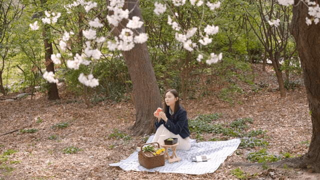 벚꽃나무 아래에서 샌드위치를 먹으며 피크닉을 즐기는 여성