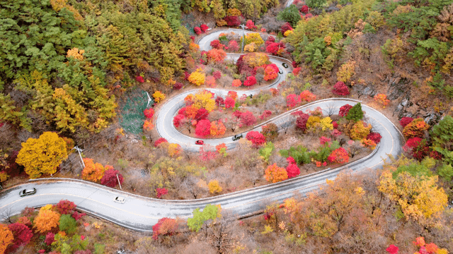 Winding road through colorful autumn forest