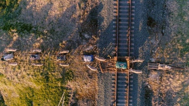 Reindeer parade passing along the railway track