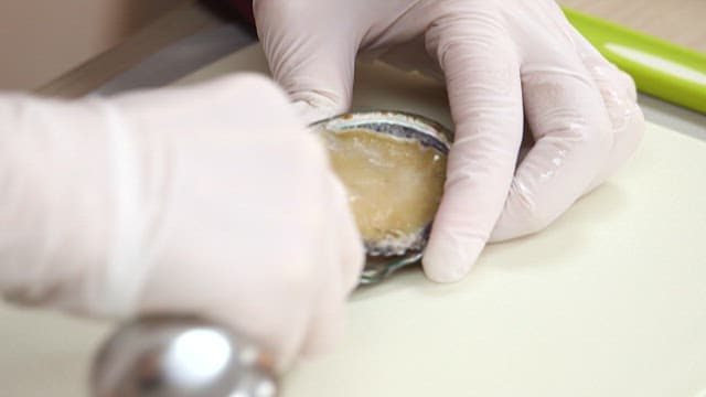 Shucking Fresh Abalone in a Kitchen