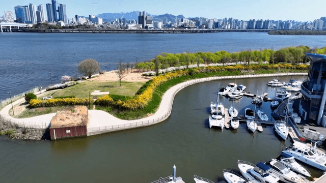 요트와 도시 스카이라인이 보이는 강변 공원