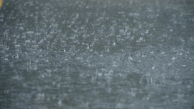 Raindrops Falling on the Water Surface and Leaves