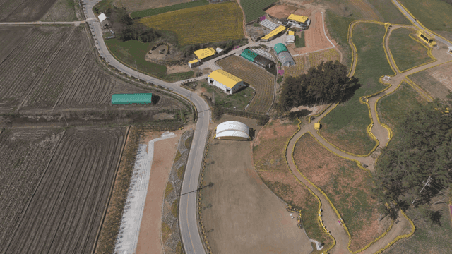 Aerial view of a rural farm with yellow-roofed buildings