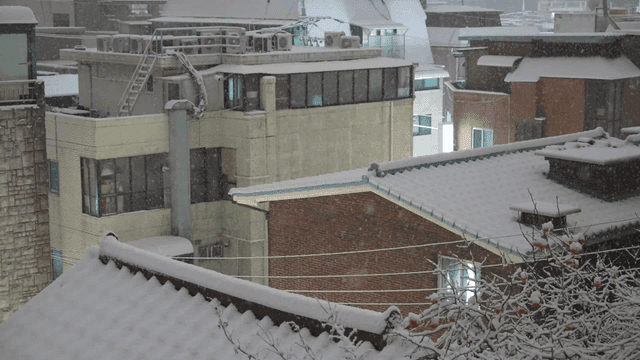 Snow-covered residential roofs