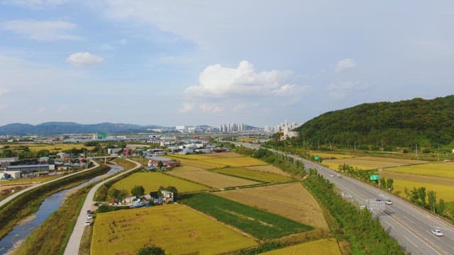 Rural landscape with fields and a road