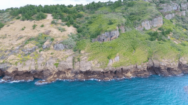 Scenic coastal cliff with lush greenery