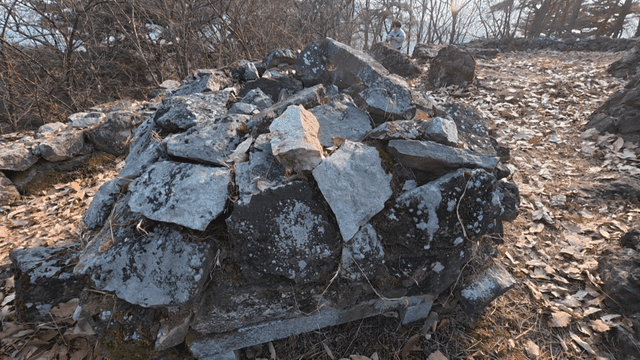 Pile of stones in forest