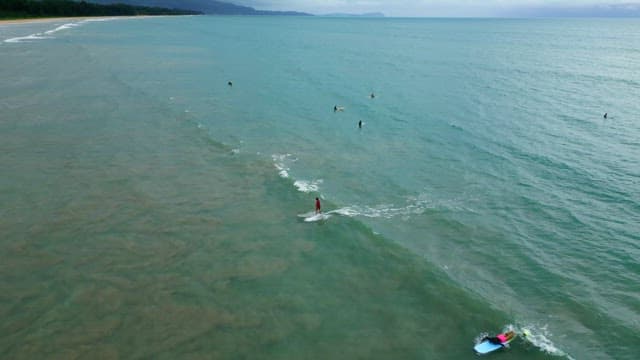 Surfers enjoying waves on a vast ocean