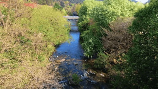 Serene river flowing through lush greenery