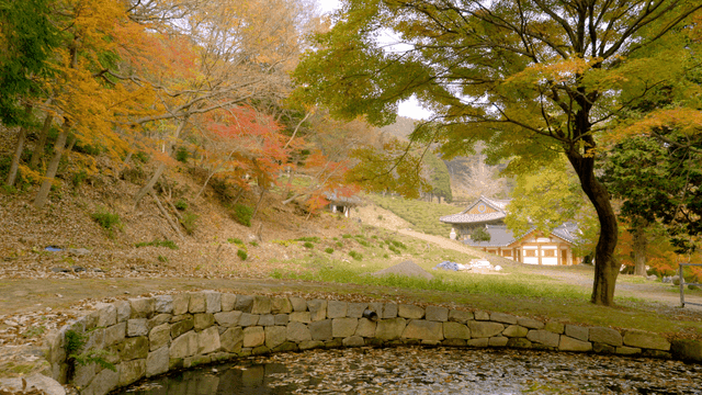 Serene temple surrounded by autumn trees