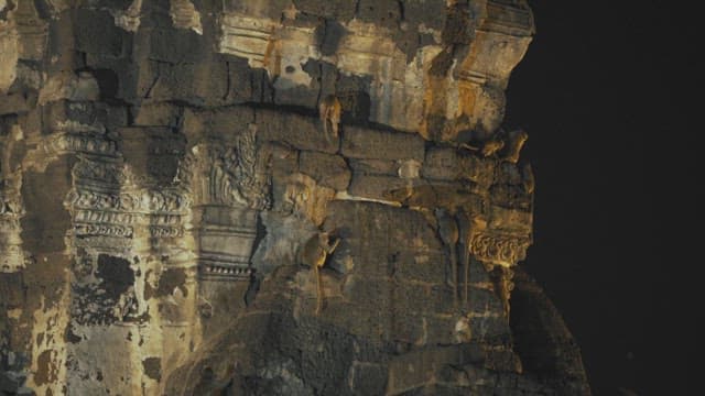 밤의 석조 건축물에서 생활하는 원숭이들