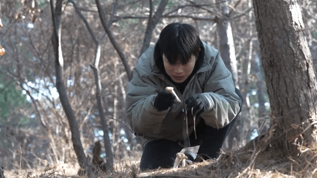 숲에서 버섯을 살펴보는 사람