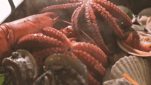 Steamed seafood with octopus and lobster