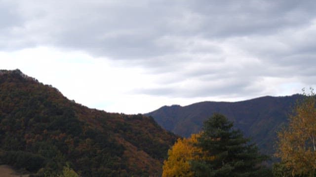 Scenic Autumn Foliage in a Mountainous Landscape