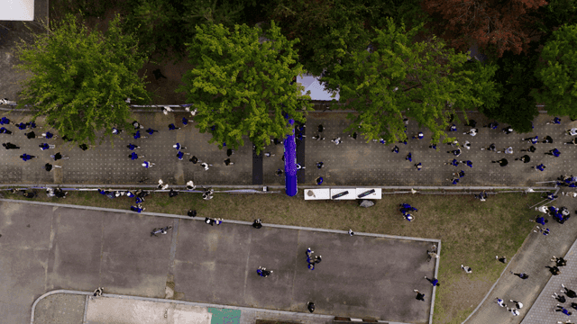 나무가 늘어선 길을 뛰어가는 마라톤을 뛰는 사람들