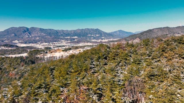 Snowy Landscape with Mountains and Trees