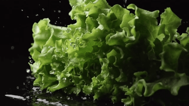 Crisp lettuce falling into water in slow-motion