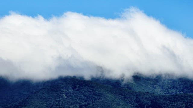 Clouds drifting over a lush green mountain