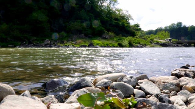 Flowing river with sunlight reflections