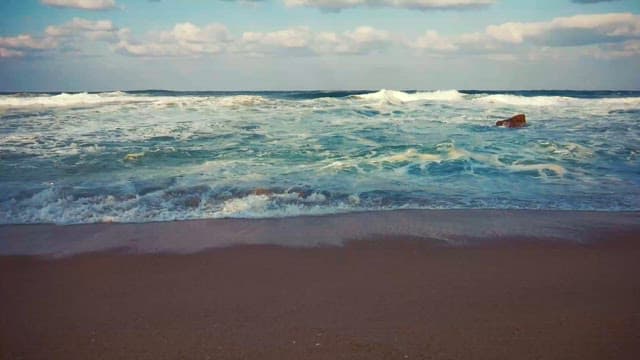 Calm Shoreline with Waves Crashing Gently