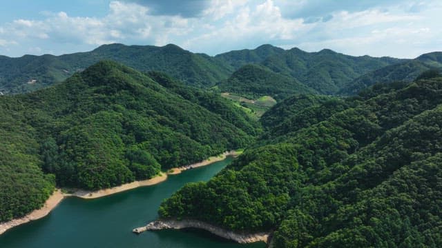 Serene River Through Lush Mountains with Trees