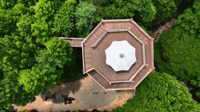 숲 속 전망대를 내려다본 모습