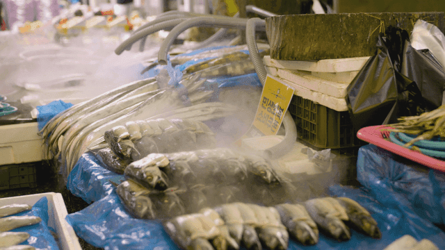 Fresh fish displayed at a bustling market