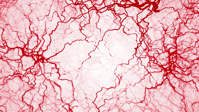 Detailed view of red blood vessels