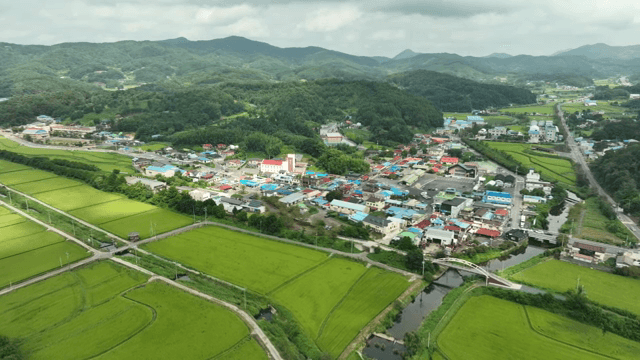녹색 농경지에 둘러싸인 시골 마을