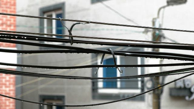 비가 내린 후 물방울이 맺힌 도시 전깃줄