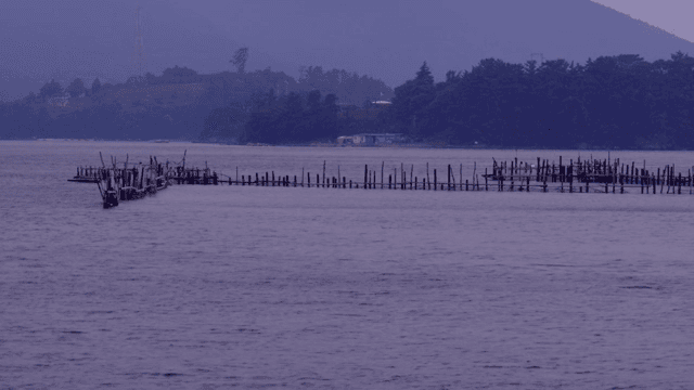 A serene coastal aquaculture scene