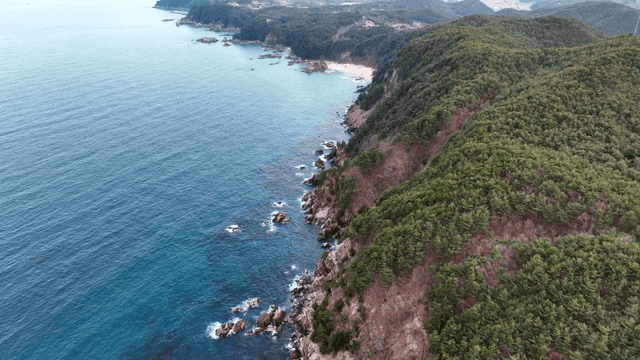 푸른 언덕이 있는 해안선