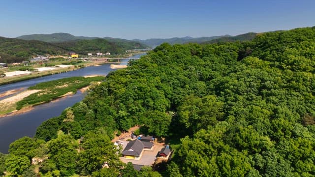 Lush green forest with a serene river