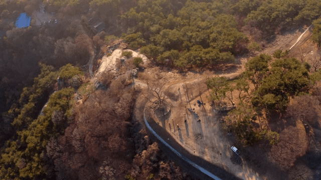 숲이 우거진 언덕의 경치