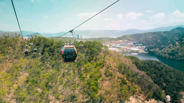 Cable cars over a scenic forest landscape