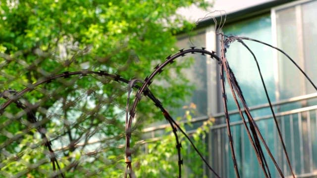 Apartment barbed wire fence with green leaves