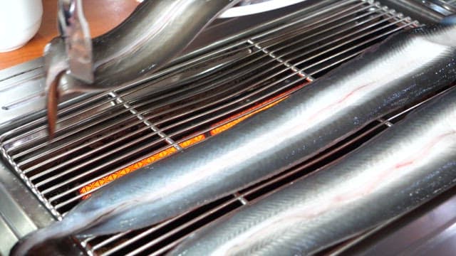 집게로 굽는 신선한 장어