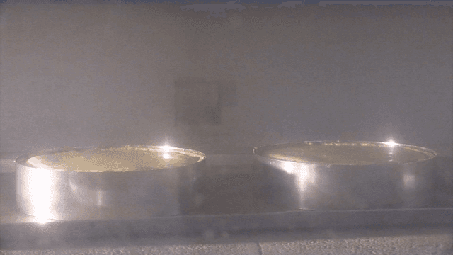 치즈케이크가 오븐에 구워지는 과정