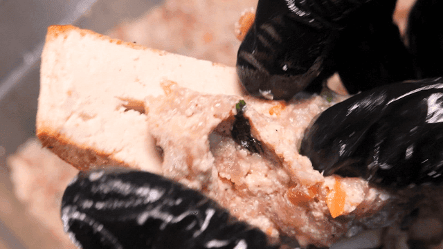 Gloved hand preparing tofu with filling