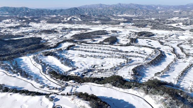 Winter Landscape with Snow-Covered Trees