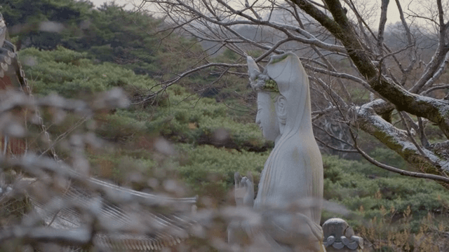 Serene statue in a tranquil forest