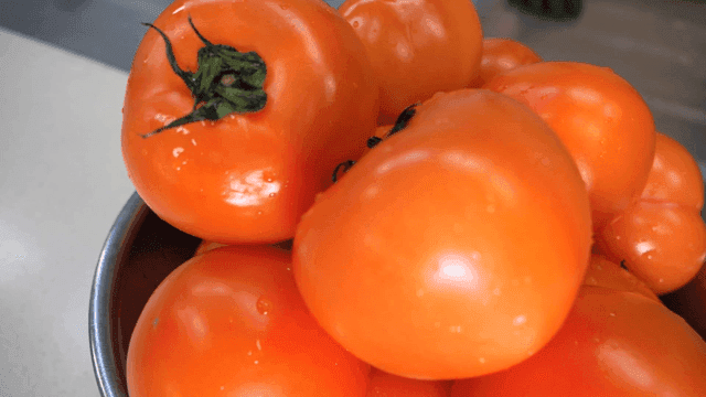Fresh tomatoes in a metal bowl