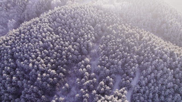 Snow-Covered Mountain in the Morning Sunlight